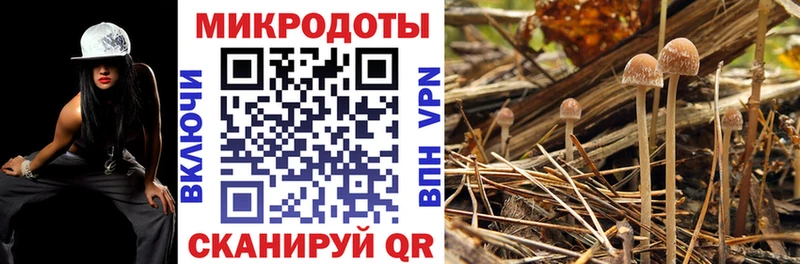 Галлюциногенные грибы ЛСД  Грайворон 